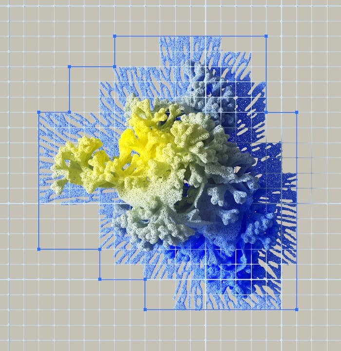 Pexels Photo 17484901