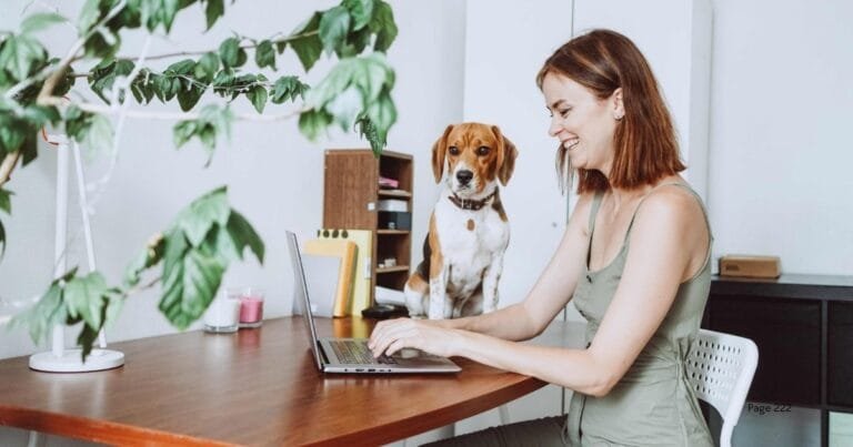 Top 15 Tools to Boost Efficiency in Administrative Support Roles