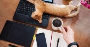 12 Proven Tips to Stay Organized as an Administrative Support Specialist