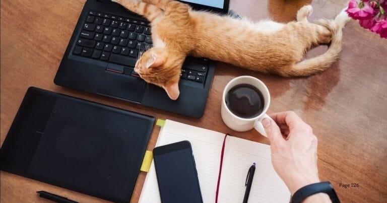 12 Proven Tips to Stay Organized as an Administrative Support Specialist